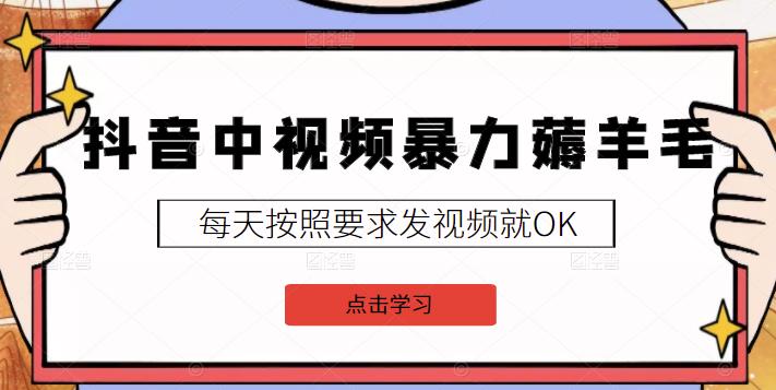 2022抖音中视频暴力薅羊毛白嫖项目：新号每天20块，老号几天几百块，可多号￼-梦凌网创