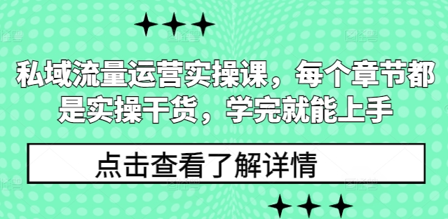 私域流量运营实操课，每个章节都是实操干货，学完就能上手-梦凌网创