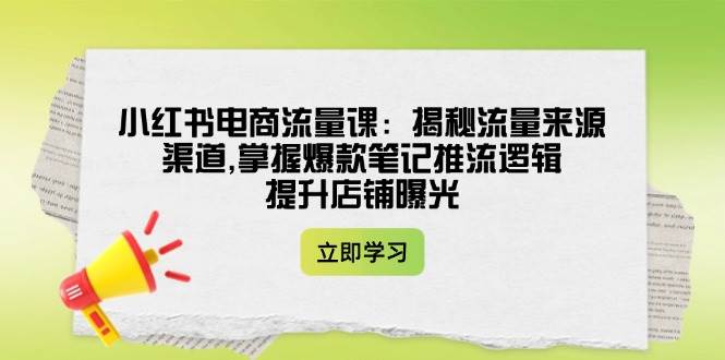 小红书电商流量课：揭秘流量来源渠道,掌握爆款笔记推流逻辑,提升店铺曝光-梦凌网创