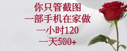 你只管截图，一部手机在家做，一小时120.一天5张【揭秘】-梦凌网创