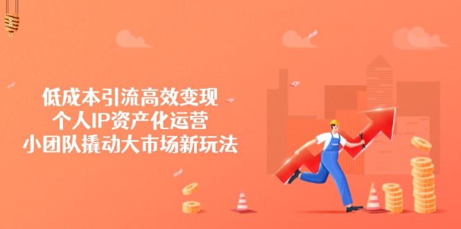 低成本引流高效变现，个人IP资产化运营，小团队撬动大市场新玩法-梦凌网创