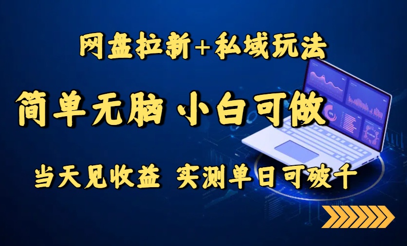 网盘拉新+私域玩法，简单无脑，小白可做，当天见收益，实测单日可破千-梦凌网创