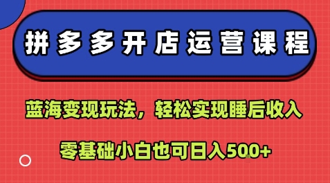 拼多多开店运营课程：蓝海变现玩法，轻松实现睡后收入，零基础小白也可日入5张-梦凌网创