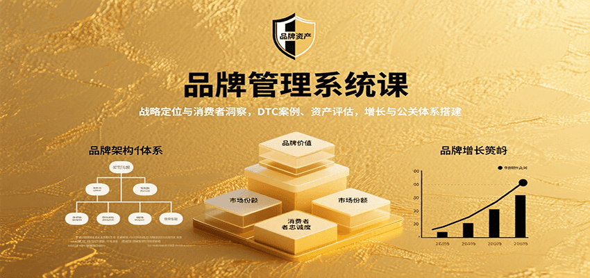 图片[1]-品牌管理系统课：战略定位与消费者洞察，DTC案例、资产评估，增长与公关体系搭建-梦凌网创