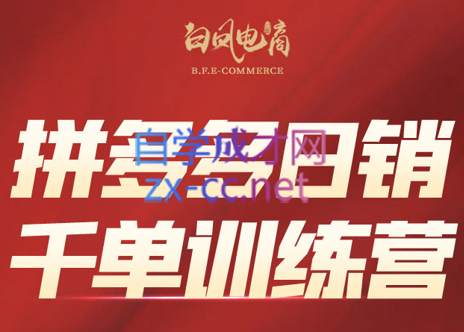 白凤电商·拼多多日销千单训练营(更新8月)-梦凌网创