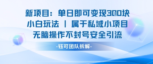 新项目单日即可变现3张的小白玩法无脑操作不封号安全引流-梦凌网创