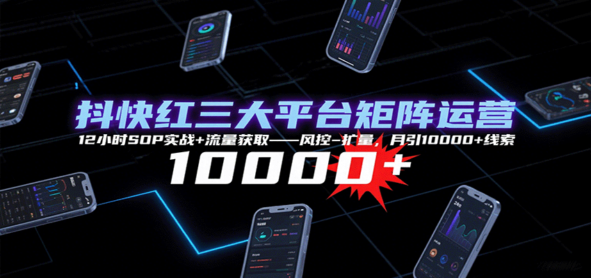 图片[1]-抖快红三大平台矩阵运营，12小时SOP实战+流量获取-风控-扩量，月引10000+线索-梦凌网创