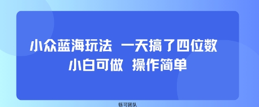 小众蓝海玩法 一天搞了四位数 小白可做 操作简单-梦凌网创