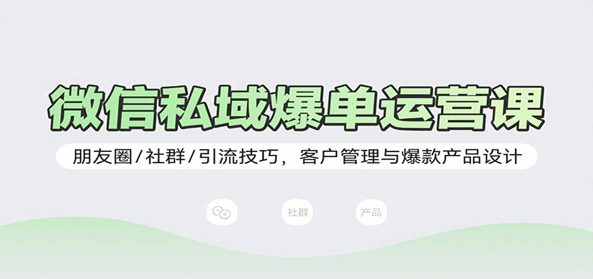 微信私域爆单运营课：朋友圈/社群/引流技巧，客户管理与爆款产品设计-梦凌网创