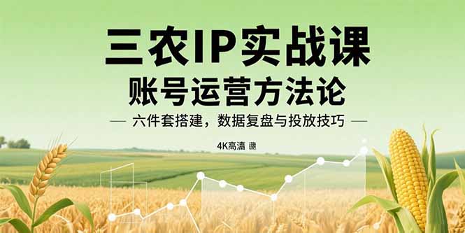 三农IP实战课：账号运营方法论，六件套搭建，数据复盘与投放技巧-梦凌网创