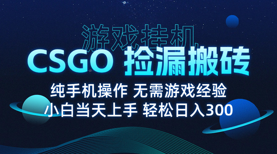 8月最新游戏搬砖，CSGO纯挂机，不需要玩游戏，实现真挂机，月入1W+-梦凌网创