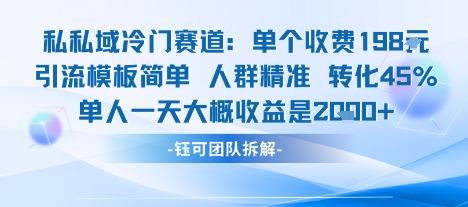 私域冷门赛道单个收费198米引流模板简单人群精准 45%的转化率单人一天大概收益多张-梦凌网创
