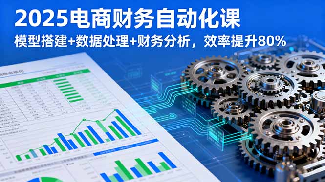 2025电商财务自动化课，模型搭建+数据处理+财务分析，效率提升80%-梦凌网创