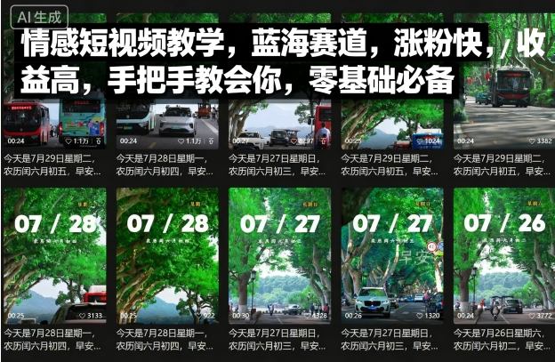 情感短视频教学，蓝海赛道，涨粉快，收益高，手把手教会你，零基础必备-梦凌网创