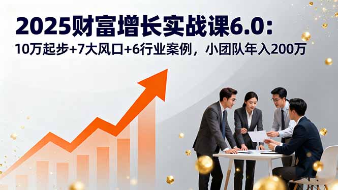 2025财富增长实战课6.0：10万起步+7大风口+6行业案例，小团队年入200万-梦凌网创