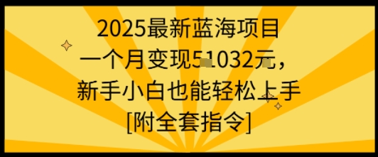 2025最新蓝海项目一个月变现1w+新手小白也能轻松上手【附全套指令】-梦凌网创