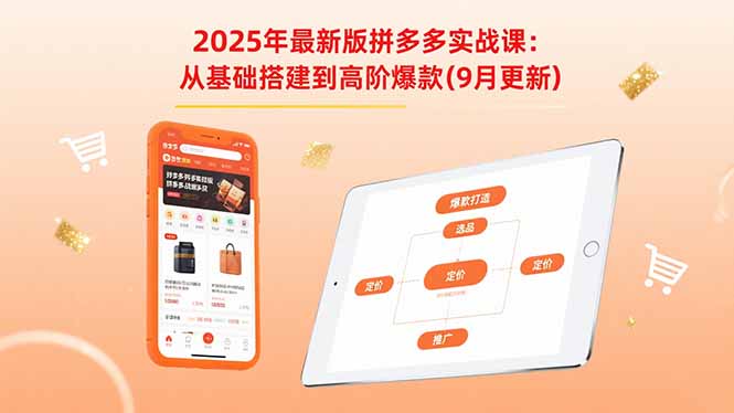 2025年最新版拼多多实战课：从基础搭建到高阶爆款(9月更新-梦凌网创
