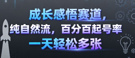成长感悟赛道，纯自然流，百分百起号率 一天轻松多张-梦凌网创