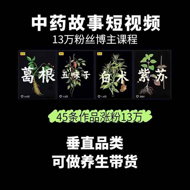 图片[2]-中药文化赛道：溯源故事开发，AI工具实战，平台运营，全方位解锁中医流量变现新路径-梦凌网创