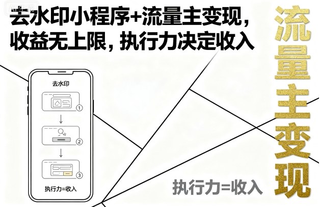 去水印小程序+流量主变现，收益无上限，执行力决定收入-梦凌网创