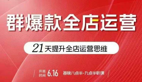 贾真电商群爆款全店运营，21天提升全店运营思维，起店、全店运营爆款不断-梦凌网创