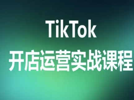 TikTok开店运营实战课程，TK跨境电商实操全流程-梦凌网创