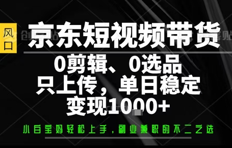 你出账号，我来运营，保底日入1k+，开启躺賺模式【揭秘】-梦凌网创