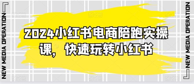 2024小红书电商陪跑实操课，快速玩转小红书，超过20节精细化课程-梦凌网创