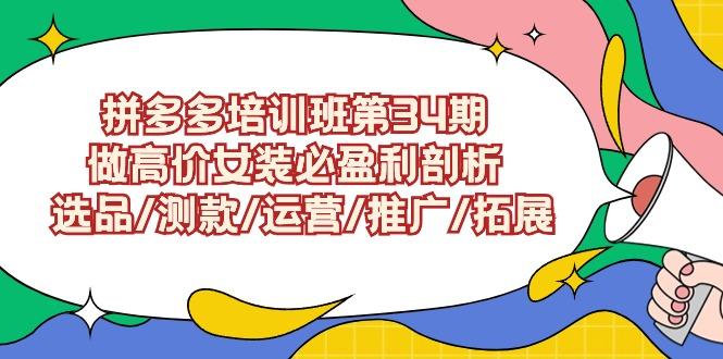 (9333期)拼多多培训班第34期：做高价女装必盈利剖析  选品/测款/运营/推广/拓展-梦凌网创