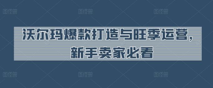 沃尔玛爆款打造与旺季运营，新手卖家必看-梦凌网创