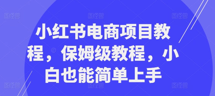 小红书电商项目教程，保姆级教程，小白也能简单上手-梦凌网创