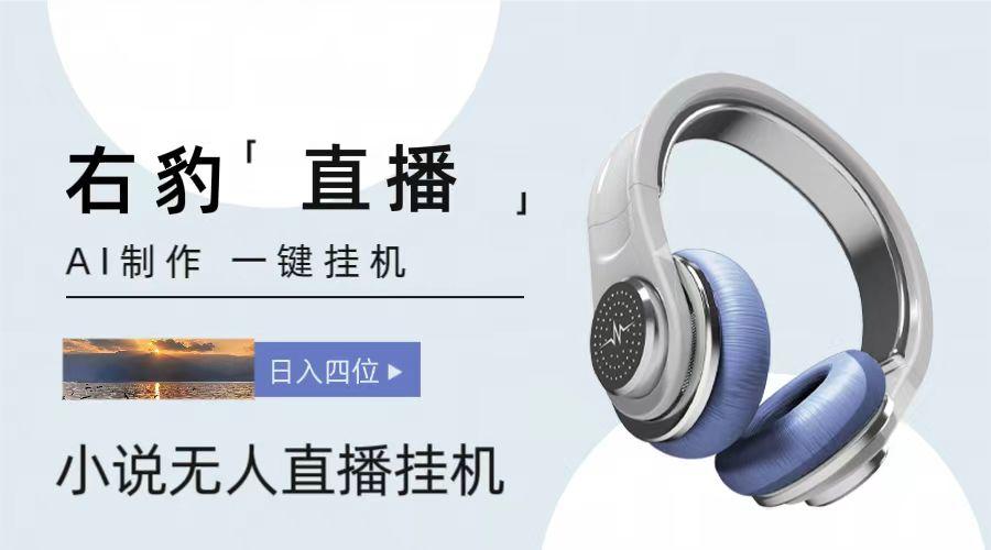 右豹小说无人直播挂机吸金项目，简单易行收益稳定， 月入1000+-梦凌网创