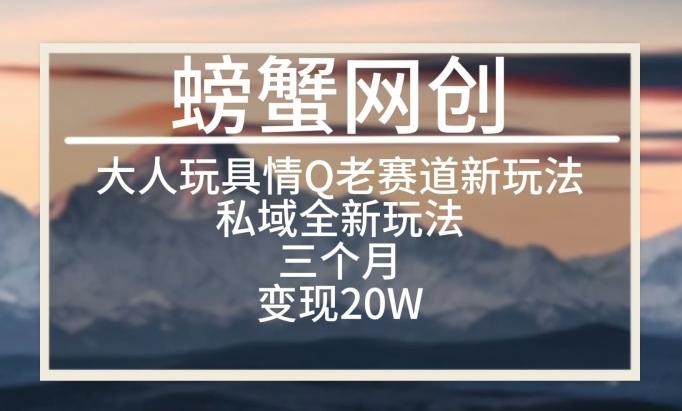 大人玩具情Q用品赛道私域全新玩法，三个月变现20W，老项目新思路【揭秘】-梦凌网创