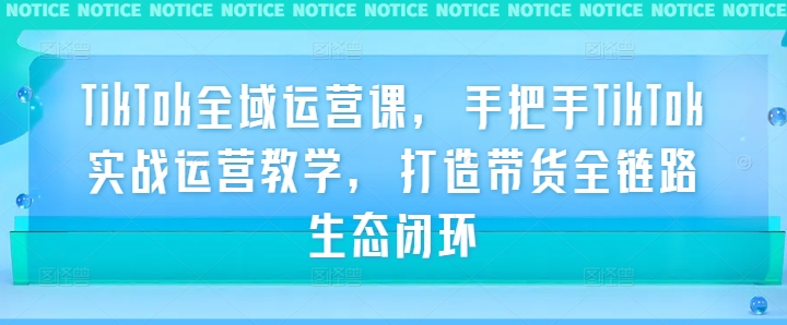 TikTok全域运营课，手把手TikTok实战运营教学，打造带货全链路生态闭环-梦凌网创