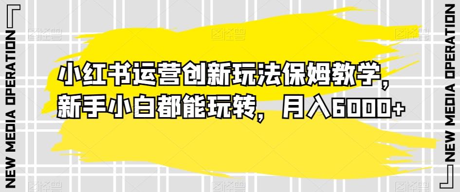小红书运营创新玩法保姆教学，新手小白都能玩转，月入6000+【揭秘】-梦凌网创