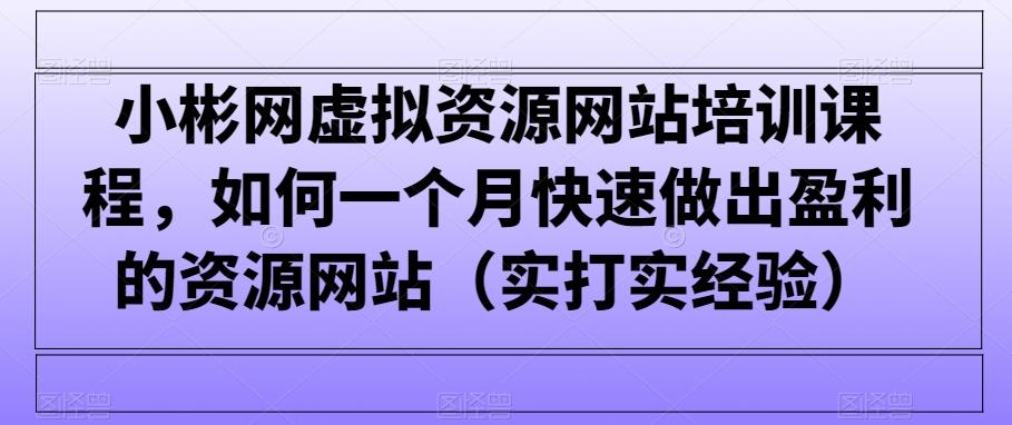 小彬网虚拟资源网站培训课程，如何一个月快速做出盈利的资源网站(实打实经验)-梦凌网创