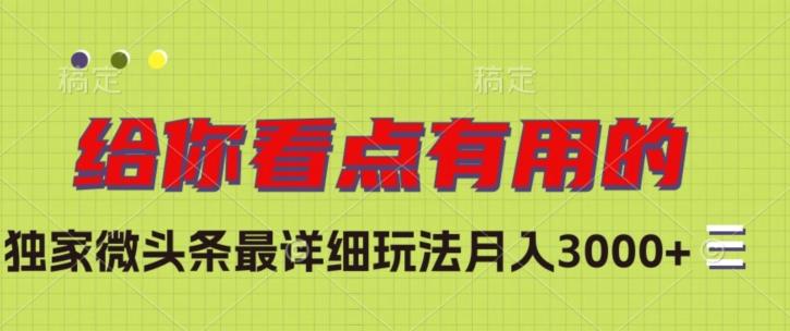 独家微头条最详细玩法，月入3000+【揭秘】-梦凌网创