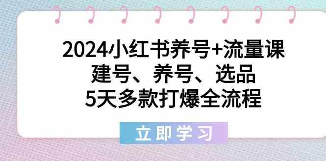 2024小红书养号+流量课：建号、养号、选品，5天多款打爆全流程-梦凌网创