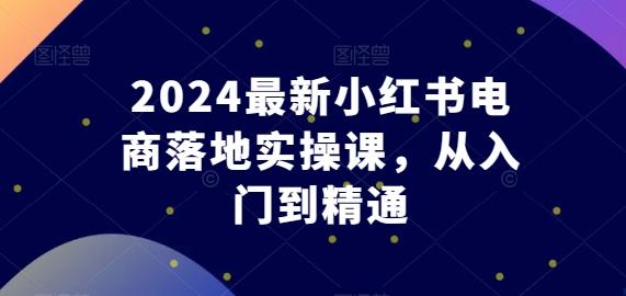 2024最新小红书电商落地实操课，从入门到精通-梦凌网创