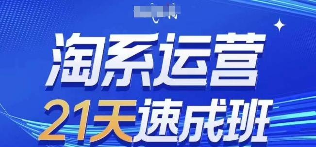 淘系运营21天速成班(更新24年6月)，0基础轻松搞定淘系运营，不做假把式-梦凌网创