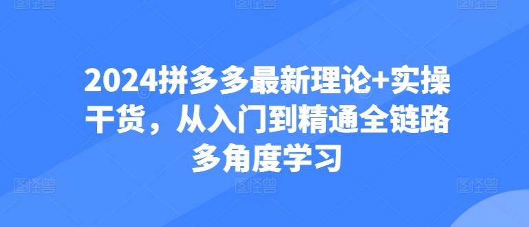2024拼多多最新理论+实操干货，从入门到精通全链路多角度学习-梦凌网创
