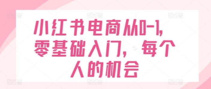 小红书电商从0-1，零基础入门，每个人的机会-梦凌网创