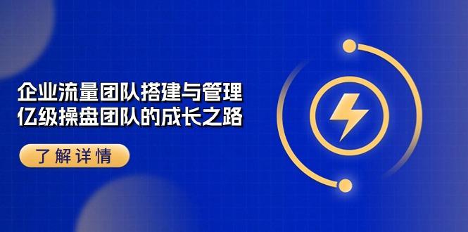 企业 流量团队-搭建与管理，亿级 操盘团队的成长之路(28节课-梦凌网创