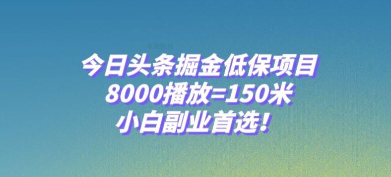 今日头条掘金低保项目，8000播放=150米，小白副业首选【揭秘】-梦凌网创