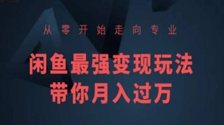 从零开始走向专业，闲鱼最强变现玩法带你月入过万-梦凌网创
