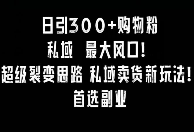 日引300+购物粉，超级裂变思路，私域卖货新玩法，小红书首选副业【揭秘】-梦凌网创