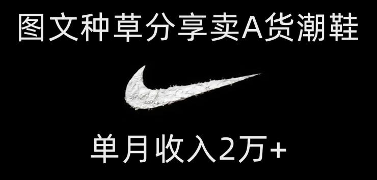靠图文种草分享卖A货潮鞋，每天一小时，单月收入2万+【揭秘】-梦凌网创