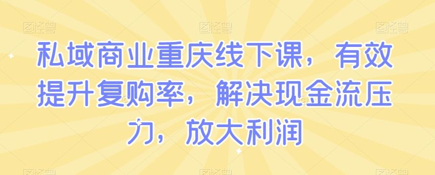 私域商业重庆线下课，有效提升复购率，解决现金流压力，放大利润-梦凌网创