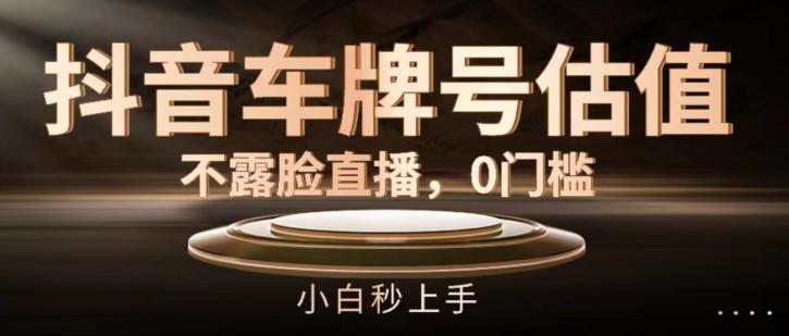 抖音车牌号估值，不露脸直播，0门槛，小白秒上手【揭秘】-梦凌网创