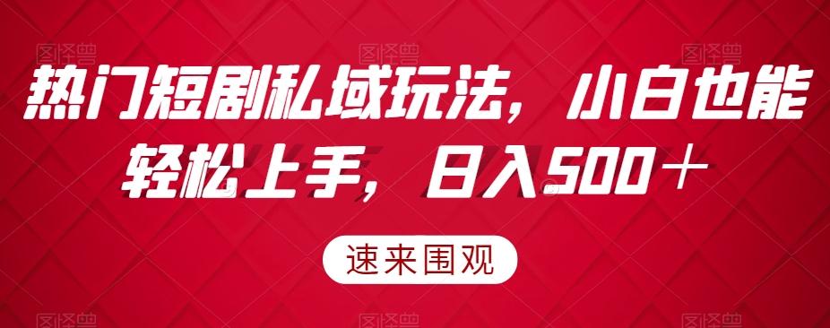 热门短剧私域玩法，小白也能轻松上手，日入500＋-梦凌网创